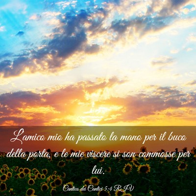 Picture 03 - Cantico dei Cantici 5:4 RIV - L’amico mio ha passato la mano per il buco - Bible Verse Picture