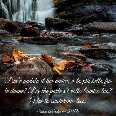 Picture 03 - Cantico dei Cantici 6:1 RIV - Dov’è andato il tuo amico, o la più bella fra - Bible Verse Picture