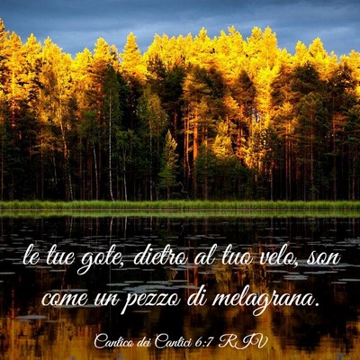 Picture 03 - Cantico dei Cantici 6:7 RIV - le tue gote, dietro al tuo velo, son come un - Bible Verse Picture