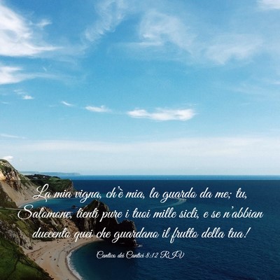 Picture 03 - Cantico dei Cantici 8:12 RIV - La mia vigna, ch’è mia, la guardo da me; tu, - Bible Verse Picture
