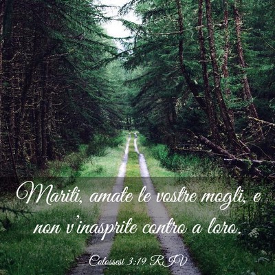 Picture 03 - Colossesi 3:19 RIV - Mariti, amate le vostre mogli, e non - Bible Verse Picture