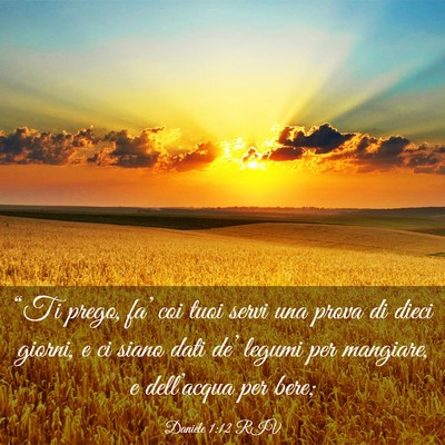 Picture 03 - Daniele 1:12 RIV - “Ti prego, fa’ coi tuoi servi una prova di - Bible Verse Picture