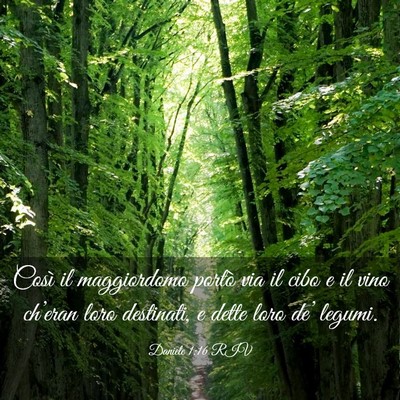 Picture 03 - Daniele 1:16 RIV - Così il maggiordomo portò via il cibo e il vino - Bible Verse Picture