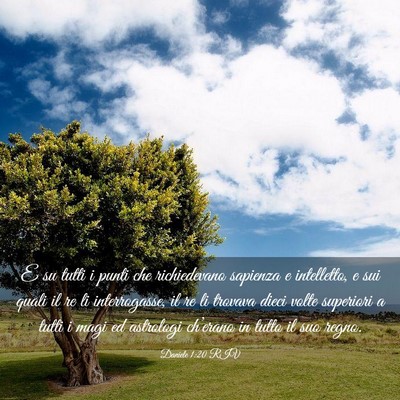 Picture 03 - Daniele 1:20 RIV - E su tutti i punti che richiedevano sapienza e - Bible Verse Picture