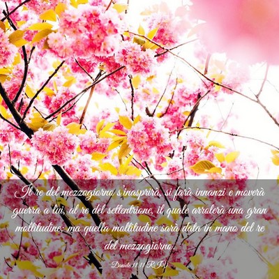 Picture 03 - Daniele 11:11 RIV - Il re del mezzogiorno s’inasprirà, si farà - Bible Verse Picture