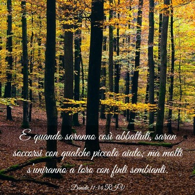 Picture 03 - Daniele 11:34 RIV - E quando saranno così abbattuti, saran soccorsi - Bible Verse Picture