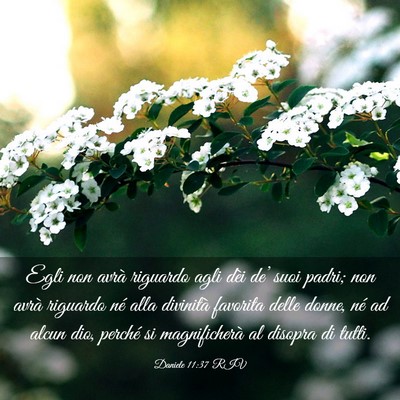 Picture 03 - Daniele 11:37 RIV - Egli non avrà riguardo agli dèi de’ suoi - Bible Verse Picture