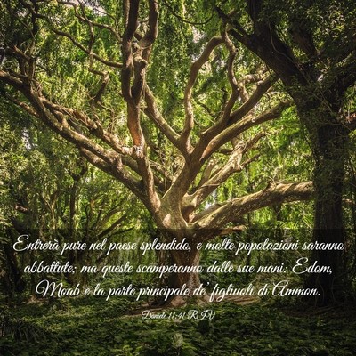 Picture 03 - Daniele 11:41 RIV - Entrerà pure nel paese splendido, e molte - Bible Verse Picture