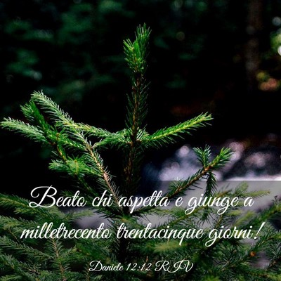 Picture 03 - Daniele 12:12 RIV - Beato chi aspetta e giunge a milletrecento - Bible Verse Picture