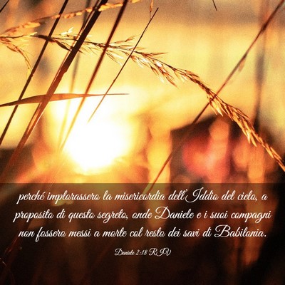 Picture 03 - Daniele 2:18 RIV - perché implorassero la misericordia dell’Iddio - Bible Verse Picture