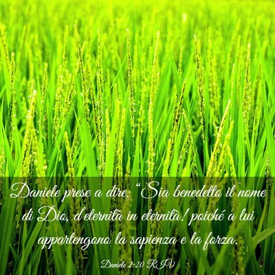 Picture 03 - Daniele 2:20 RIV - Daniele prese a dire: “Sia benedetto il nome di - Bible Verse Picture