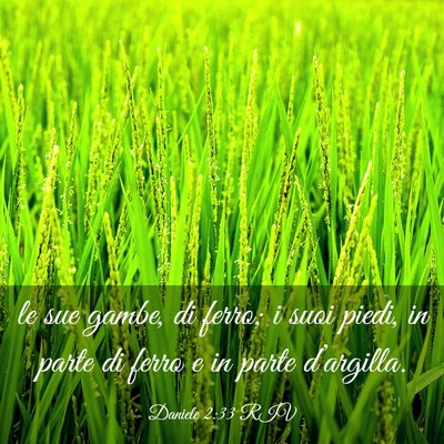 Picture 03 - Daniele 2:33 RIV - le sue gambe, di ferro; i suoi piedi, in parte di - Bible Verse Picture
