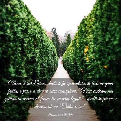 Picture 03 - Daniele 3:24 RIV - Allora il re Nebucadnetsar fu spaventato, si - Bible Verse Picture