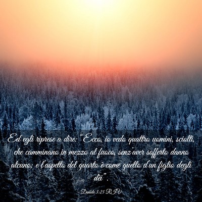 Picture 03 - Daniele 3:25 RIV - Ed egli riprese a dire: “Ecco, io vedo quattro - Bible Verse Picture