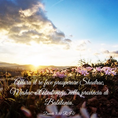 Picture 03 - Daniele 3:30 RIV - Allora il re fece prosperare Shadrac, Meshac e - Bible Verse Picture