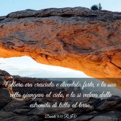 Picture 03 - Daniele 4:11 RIV - l’albero era cresciuto e diventato forte, e la - Bible Verse Picture