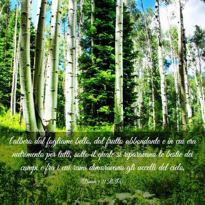 Picture 03 - Daniele 4:21 RIV - l’albero dal fogliame bello, dal frutto - Bible Verse Picture