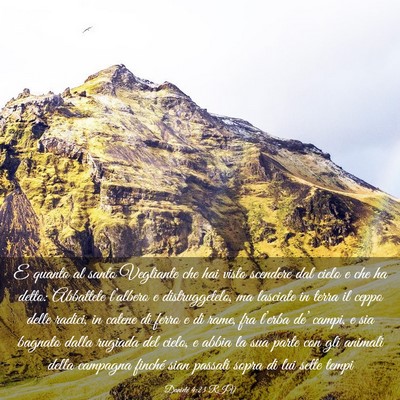 Picture 03 - Daniele 4:23 RIV - E quanto al santo Vegliante che hai visto - Bible Verse Picture