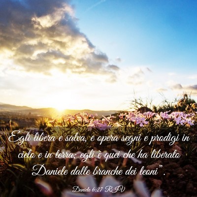 Picture 03 - Daniele 6:27 RIV - Egli libera e salva, e opera segni e prodigi in - Bible Verse Picture