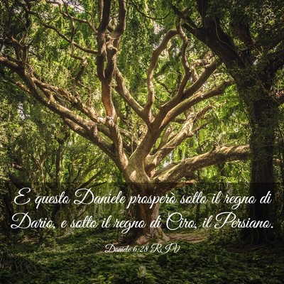 Picture 03 - Daniele 6:28 RIV - E questo Daniele prosperò sotto il regno di - Bible Verse Picture