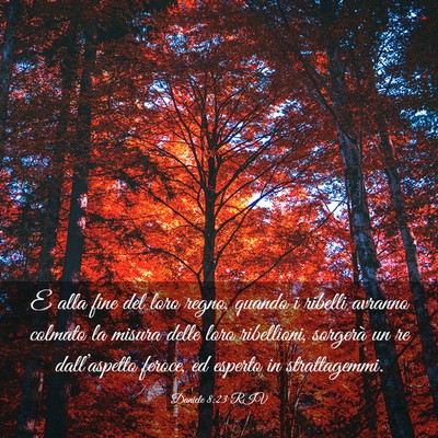 Picture 03 - Daniele 8:23 RIV - E alla fine del loro regno, quando i ribelli - Bible Verse Picture