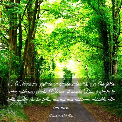 Picture 03 - Daniele 9:14 RIV - E l’Eterno ha vegliato su questa calamità, e - Bible Verse Picture