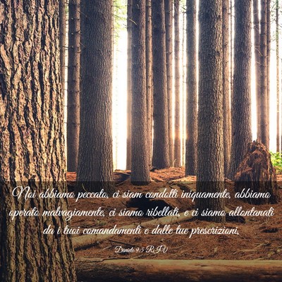 Picture 03 - Daniele 9:5 RIV - Noi abbiamo peccato, ci siam condotti - Bible Verse Picture