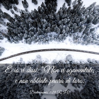 Picture 03 - Deuteronomio 1:29 RIV - E io vi dissi: “Non vi sgomentate, e non - Bible Verse Picture