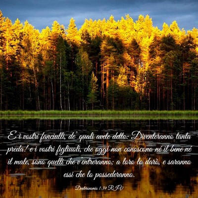 Picture 03 - Deuteronomio 1:39 RIV - E i vostri fanciulli, de’ quali avete detto: - Bible Verse Picture