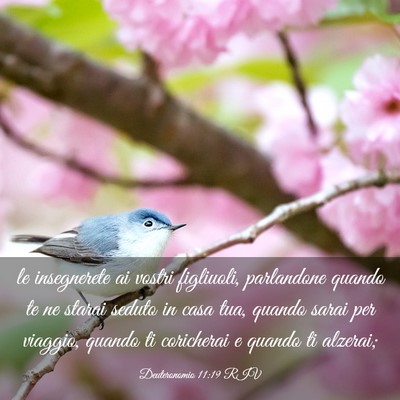 Picture 03 - Deuteronomio 11:19 RIV - le insegnerete ai vostri figliuoli, parlandone - Bible Verse Picture
