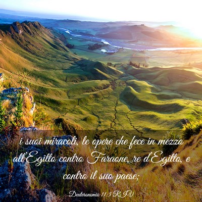 Picture 03 - Deuteronomio 11:3 RIV - i suoi miracoli, le opere che fece in mezzo - Bible Verse Picture