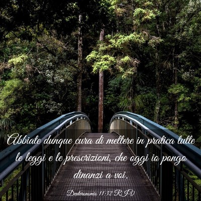 Picture 03 - Deuteronomio 11:32 RIV - Abbiate dunque cura di mettere in pratica tutte - Bible Verse Picture
