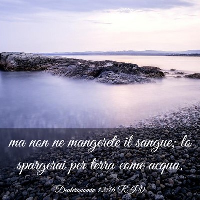 Picture 03 - Deuteronomio 12:16 RIV - ma non ne mangerete il sangue; lo spargerai per - Bible Verse Picture