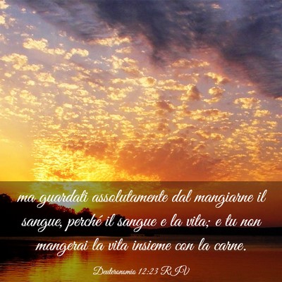 Picture 03 - Deuteronomio 12:23 RIV - ma guardati assolutamente dal mangiarne il - Bible Verse Picture