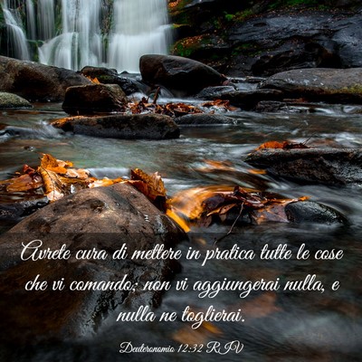 Picture 03 - Deuteronomio 12:32 RIV - Avrete cura di mettere in pratica tutte le cose - Bible Verse Picture