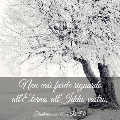 Picture 03 - Deuteronomio 12:4 RIV - Non così farete riguardo all’Eterno, - Bible Verse Picture
