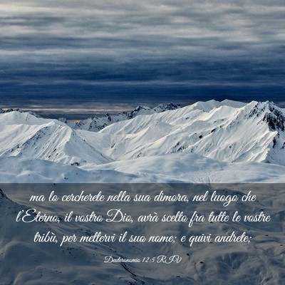 Picture 03 - Deuteronomio 12:5 RIV - ma lo cercherete nella sua dimora, nel luogo che - Bible Verse Picture