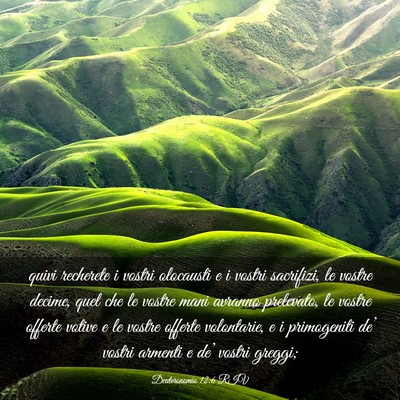 Picture 03 - Deuteronomio 12:6 RIV - quivi recherete i vostri olocausti e i vostri - Bible Verse Picture
