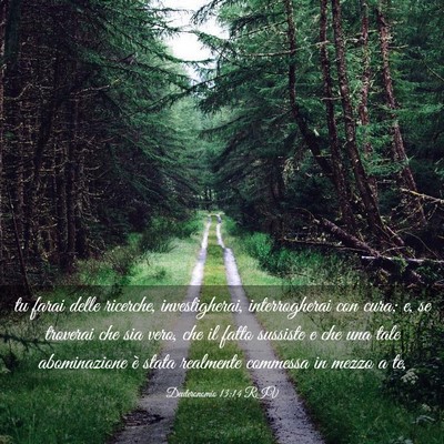 Picture 03 - Deuteronomio 13:14 RIV - tu farai delle ricerche, investigherai, - Bible Verse Picture
