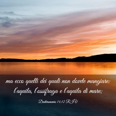 Picture 03 - Deuteronomio 14:12 RIV - ma ecco quelli dei quali non dovete mangiare: - Bible Verse Picture