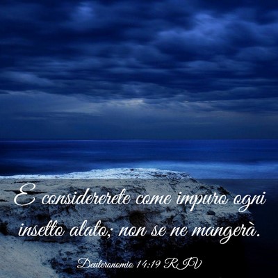 Picture 03 - Deuteronomio 14:19 RIV - E considererete come impuro ogni insetto alato; - Bible Verse Picture