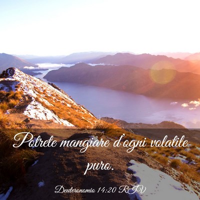 Picture 03 - Deuteronomio 14:20 RIV - Potrete mangiare d’ogni volatile - Bible Verse Picture