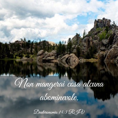 Picture 03 - Deuteronomio 14:3 RIV - Non mangerai cosa alcuna - Bible Verse Picture