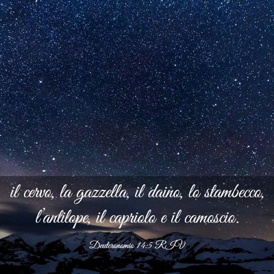 Picture 03 - Deuteronomio 14:5 RIV - il cervo, la gazzella, il daino, lo stambecco, - Bible Verse Picture