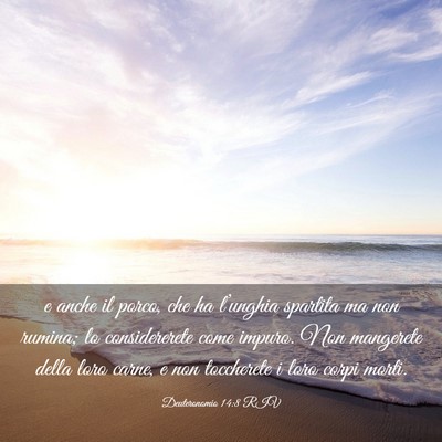 Picture 03 - Deuteronomio 14:8 RIV - e anche il porco, che ha l’unghia spartita ma - Bible Verse Picture