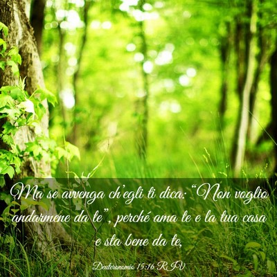 Picture 03 - Deuteronomio 15:16 RIV - Ma se avvenga ch’egli ti dica: “Non voglio - Bible Verse Picture