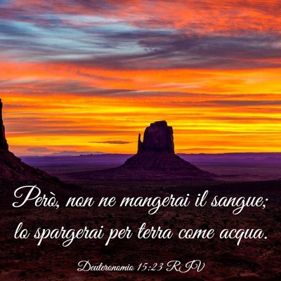 Picture 03 - Deuteronomio 15:23 RIV - Però, non ne mangerai il sangue; lo spargerai - Bible Verse Picture