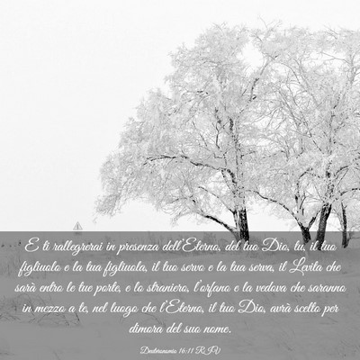 Picture 03 - Deuteronomio 16:11 RIV - E ti rallegrerai in presenza dell’Eterno, del - Bible Verse Picture