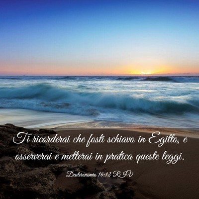 Picture 03 - Deuteronomio 16:12 RIV - Ti ricorderai che fosti schiavo in Egitto, e - Bible Verse Picture