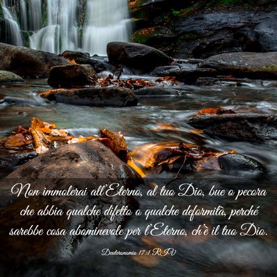 Picture 03 - Deuteronomio 17:1 RIV - Non immolerai all’Eterno, al tuo Dio, bue o - Bible Verse Picture
